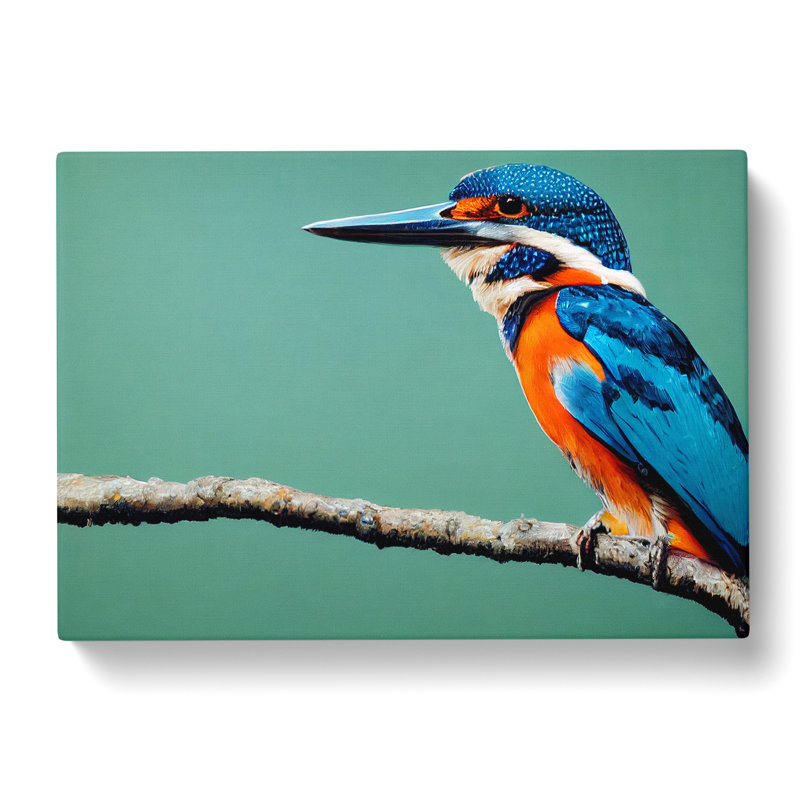 Head Turning Kingfisher Bird - Wrapped Canvas, 35cm H x 50cm W x 3cm D
