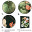 «Geranium florissant en couleurs rétro II», art mural sur toile florale-87348322-87348321