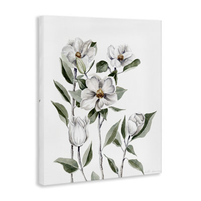 Toile délicate, branches de magnolia, par Heather Desormeaux