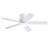 Flush Mount Ceiling Fan With Led Lights And Remote Control-1909110793-1909110794