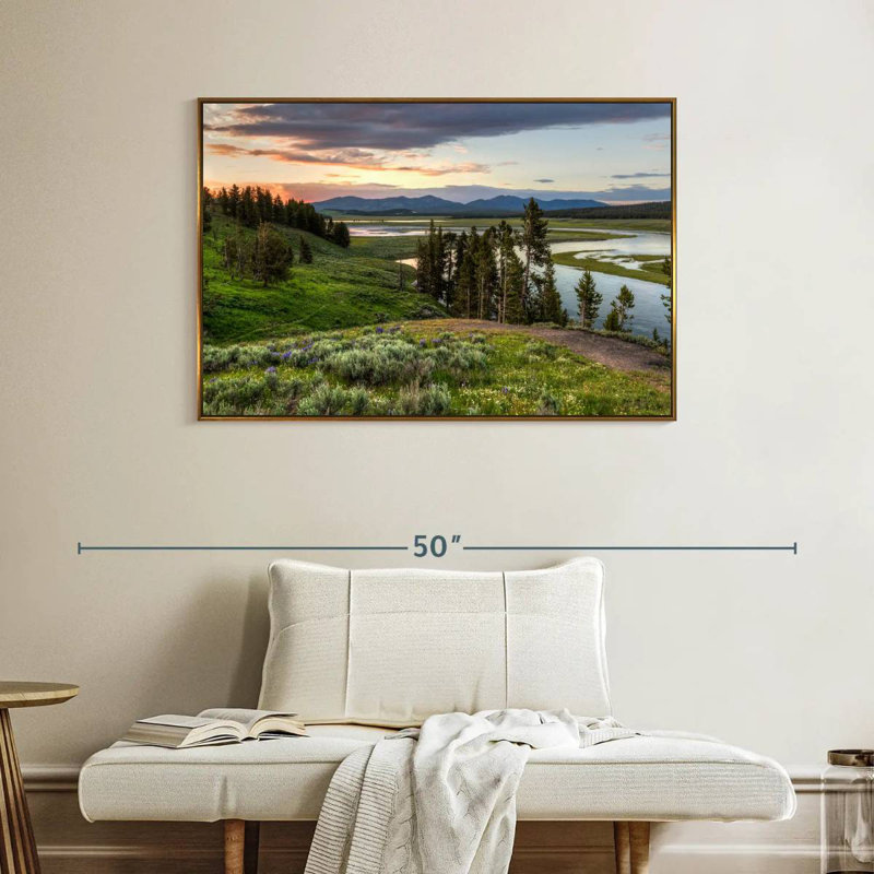 Hayden Valley Hills, Cadre flottant doré, 40 po x 27 po