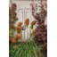 Wilmore Metal Obelisk Plant Support-369352778-369352780
