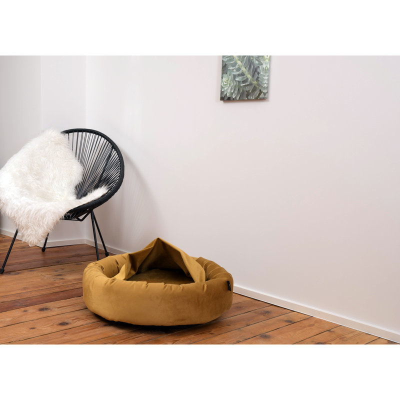 Polyester Pet Bed, Mustard, Medium (50cm W x 50cm D x 15cm H)