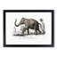 Asian Elephant by Charles D' Orbigny - Single Picture Frame Painting-57844231-57844235