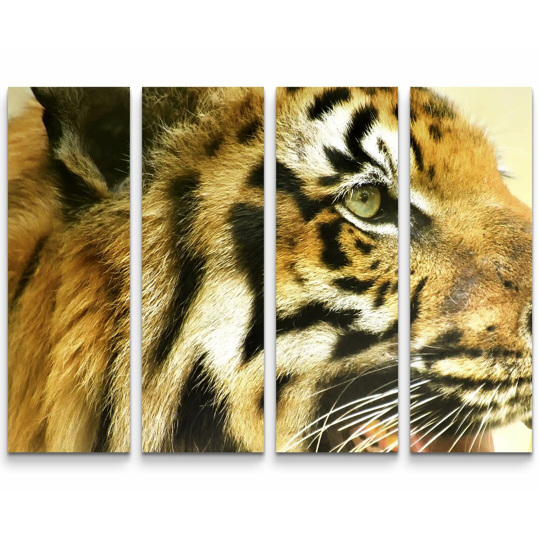 4-tlg. Leinwandbilder-Set Tiger - Portrait