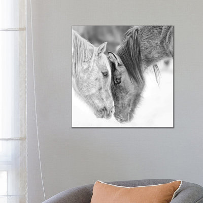 B&W Horses VII by PHBurchett - Wrapped Canvas Print