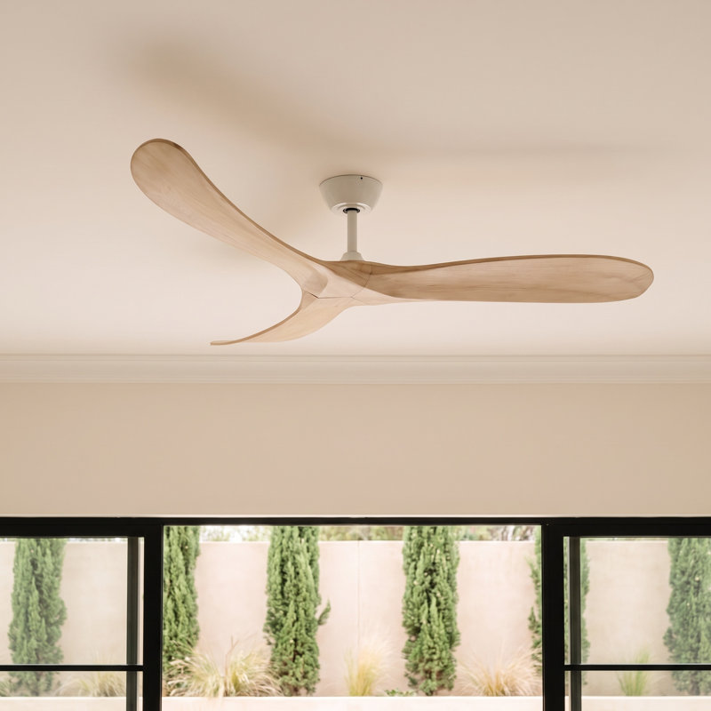Bronn Ceiling Fan, 60"