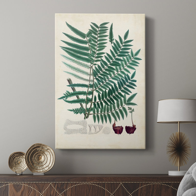 Collectionné fougères vii-galerie sur mesure, H 48 po x l 32 po