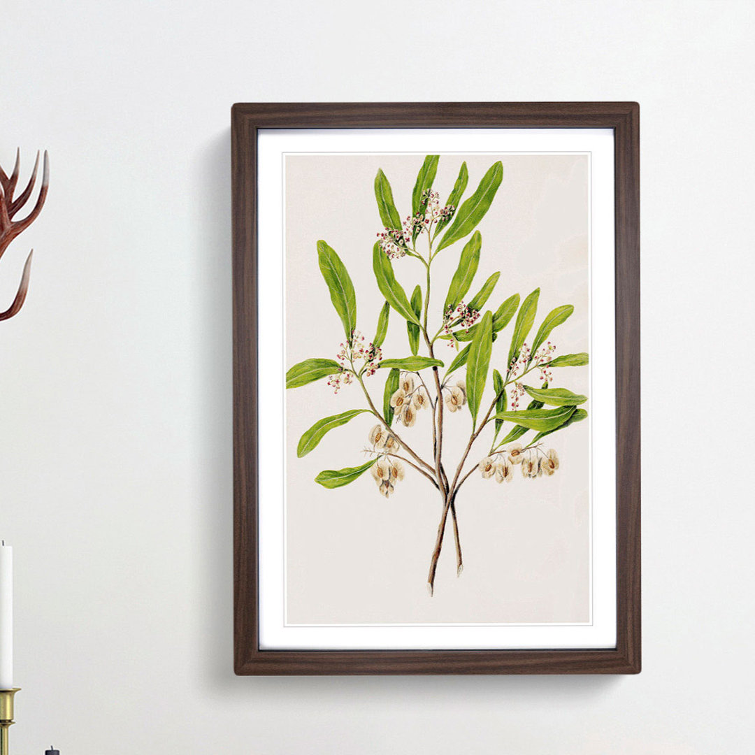 Akeake Flowers by Sarah Featon - Single Picture Frame Painting