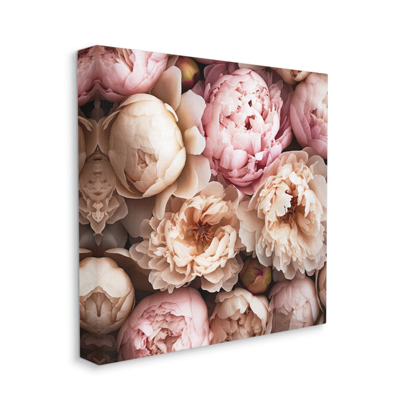 Photographie de pivoines douces par Riley B, H 17 po x l 17 po x P 1,5 po