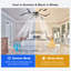 30cm Ceiling Fan with LED Lights