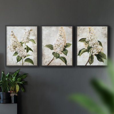 Série d'étude florale Lxxxvi-lot de 3 estampes giclées encadrées-prêt à être accroché