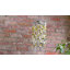 Crispn Outdoor Chandelier