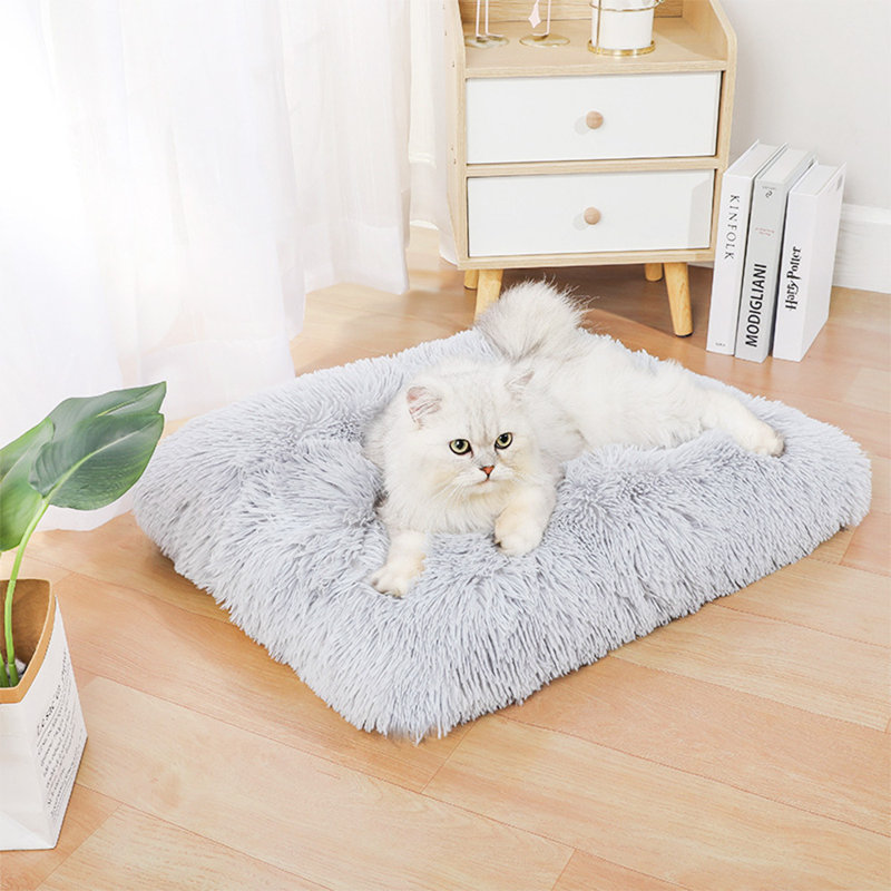 Cotton Pet Bed, 10" H x 122" W x 83" D
