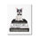 Fancy Boston Terrier