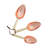 Stainless Steel Scoops With Leather Tie