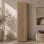 Accent Cabinet