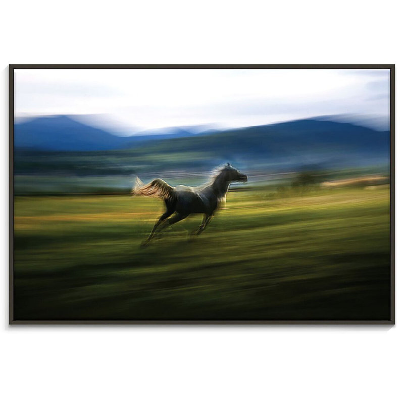 Print on Canvas, 102cm H x 152cm W, Black Floater Frame