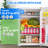 Compact Refrigerator | Two Door Mini Fridge with Energy-Efficient & Quiet Operation, 7 Settings Temperature Adjustable | for Dorm, Office, Bedroom, Kitchen, Bar Use​ with Adjustable Shelves