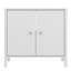 Ipsarion Freestanding Under Sink Cabinet