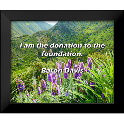 Baron Davis Quote: I am the donation to the foundation.