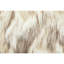 Achorn Rectangular Lumbar Cushion