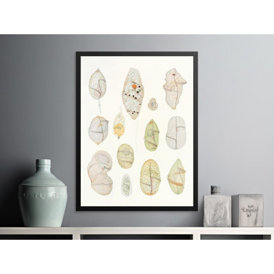 No Frame Print
