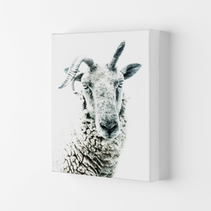 Sheep by Victoria Frost - Print, Wrapped Canvas, 59.4cm H x 42cm W x 4cm D
