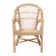 Chaise avec accoudoirs Cesio Modern