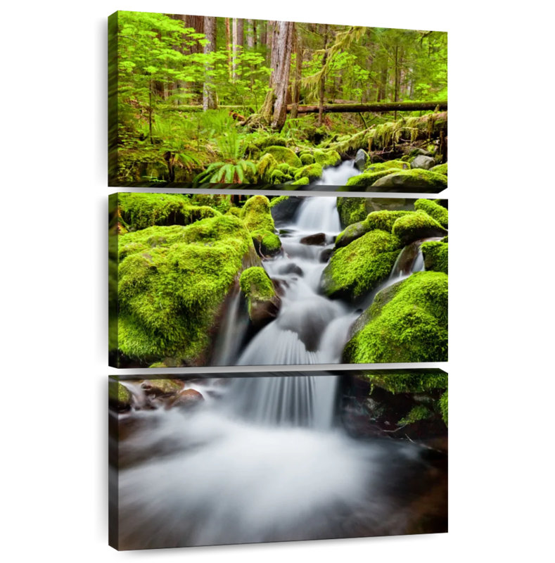 Cascade d'Alvord à la forêt nationale olympique, H 50 po x l 32 po