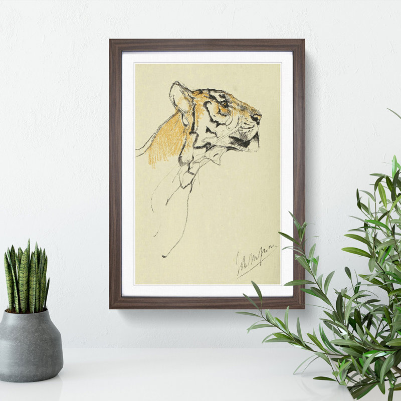 Study of a Tiger Vol.2 by John Macallan Swan - Framed Print, 36cm H x 27cm W x 2cm D, Walnut Framed