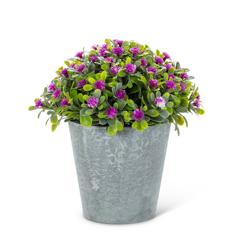 Arrangement floral mixte en pot