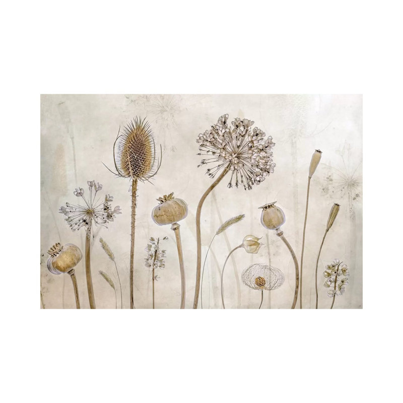 Growing Old by Mandy Disher - Print on Canvas, 45.72cm H x 66.04cm W x 3.81cm D, Wrapped Canvas