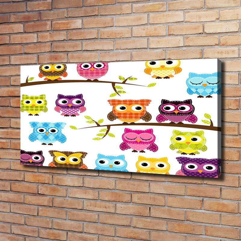 Colourful Owls - Wrapped Canvas Print