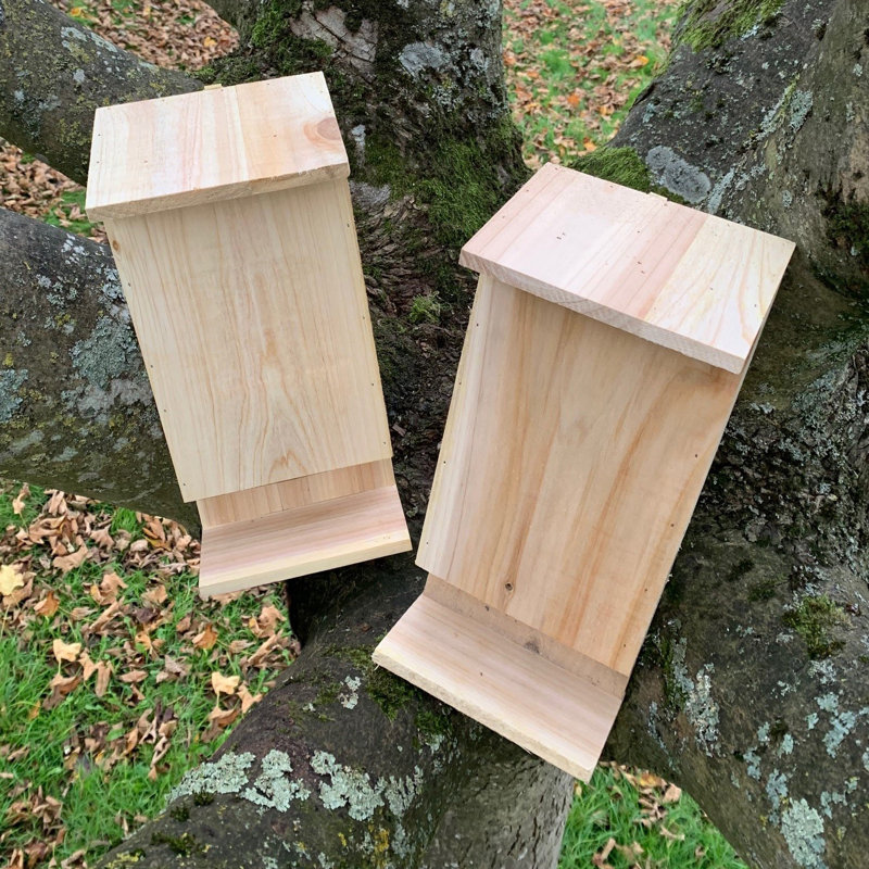 Izaguirre Mounted Bat House