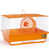 Orange/Blanc est en rupture de stock