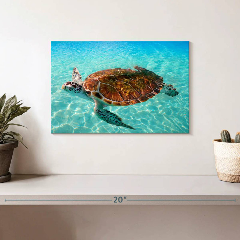 Brampt Cancun Beach Turtle, 8'' H X 12'' W