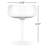 BELO 7 oz. Champagne Coupe Coupe Stemware Set