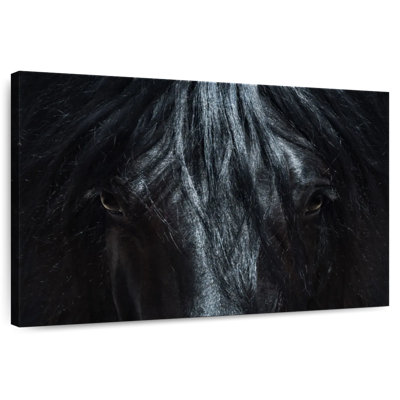 Brampt Black Horse Close Up