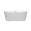 Carissa 60'' x 32'' Soaking Acrylic Bathtub-23113228