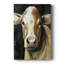 Sweet Eyes I - galerie sur mesure-117748946