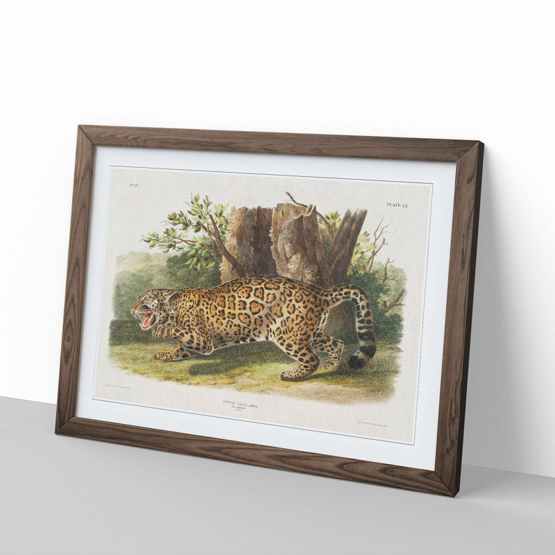 Jaguar by J.W. Audubon - Framed Print, 48cm H x 65cm W x 2cm D, Walnut Framed