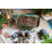 Penix Metal Wheelbarrow Planter
