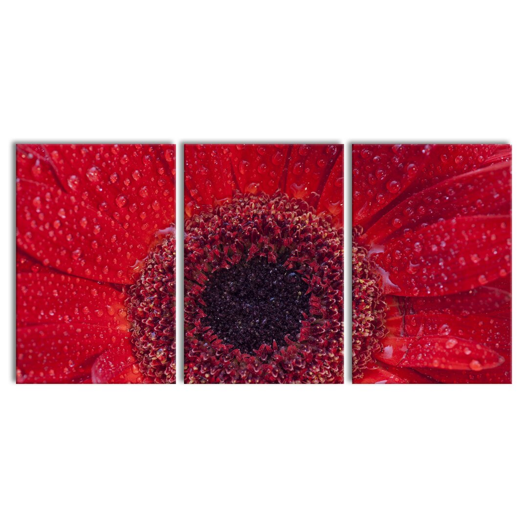 3-tlg. Leinwandbilder-Set Water Droplets on Red Flower