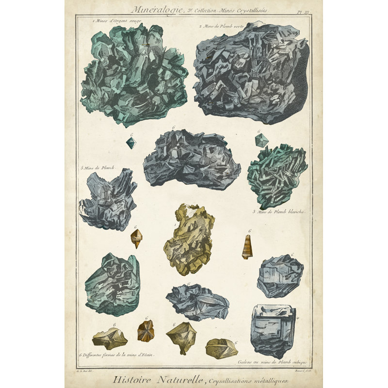Mineralogie IV by Vision Studio - Rectangle Print, 91 cm H x 61 cm W, Wrapped Canvas