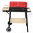 19" Charcoal Grill with Side Shelve