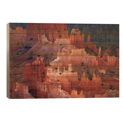" Hoodoos In The Amphitheatre As Seen From Inspiration Point, Bryce Canyon National Park, Utah, USA " by David Wall