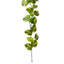Guirlande Vickerman Manjula Pothos