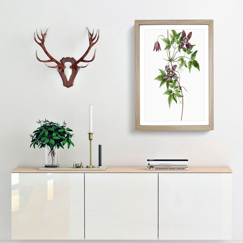 Alpine Clematis Flowers by Pierre-Joseph Redoute - Single Picture Frame Painting, 63cm H x 45cm W x 2cm D, Oak Framed