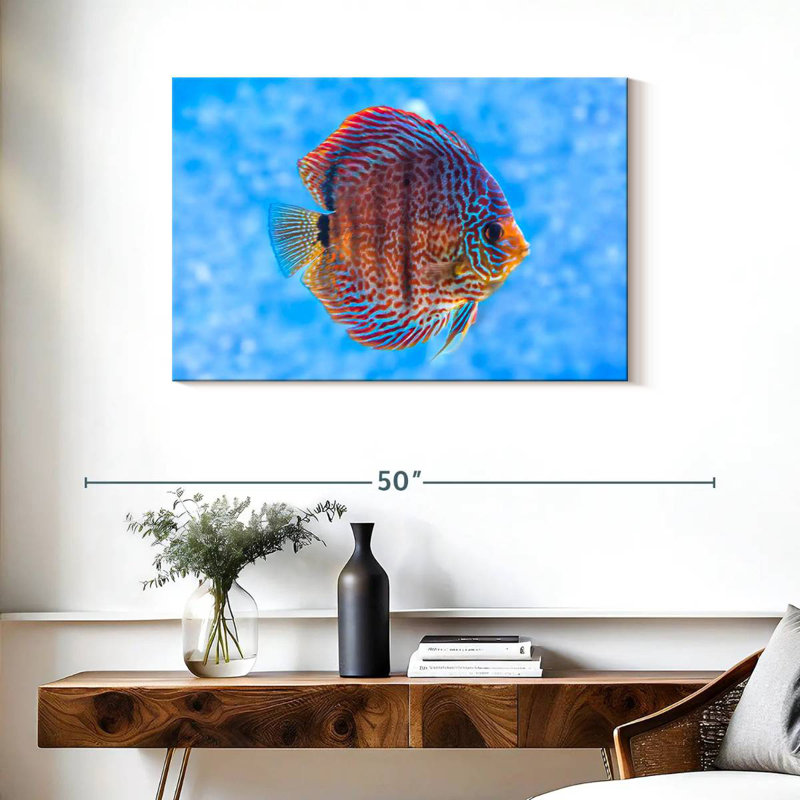 Poissons d'eau douce Brampt, H 24 po x l 36 po